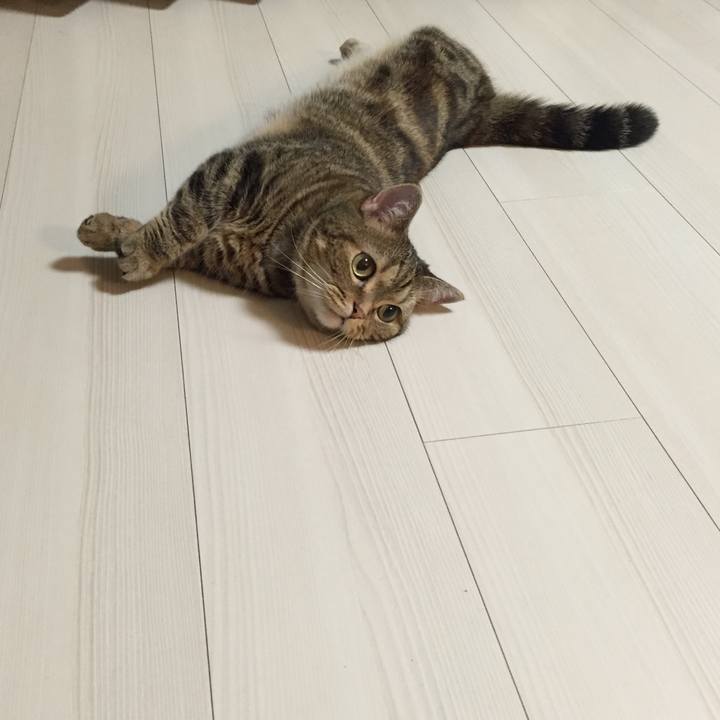 399e2f8a ecb0 425f ab5d 15ce3b1d0089