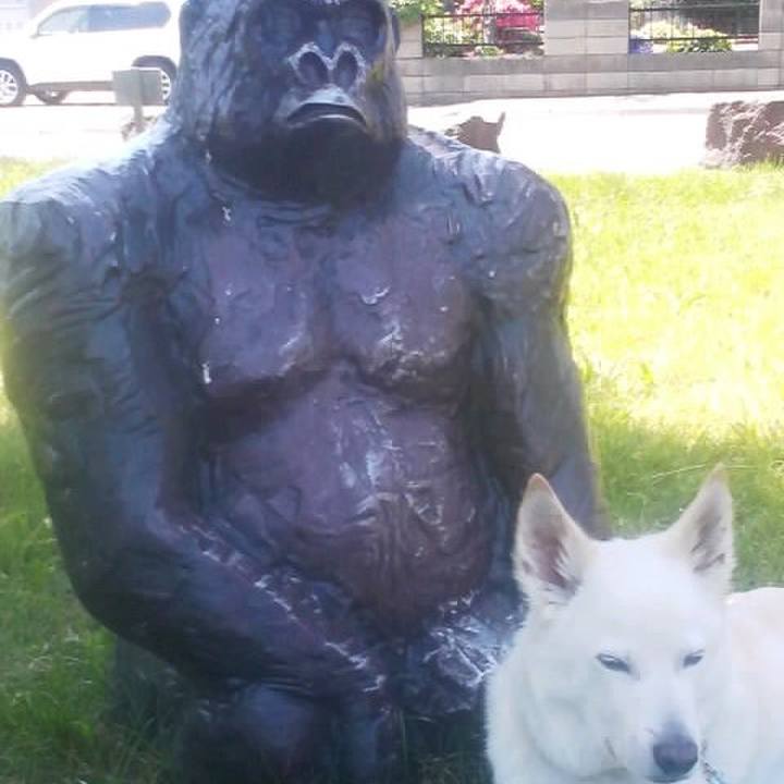 399ec263 efdb 47d2 9bad 2fb621df60af