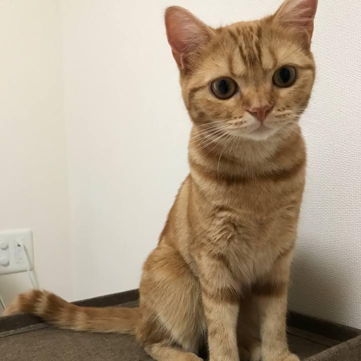 399edb30 4697 4d75 a943 19e90d124607