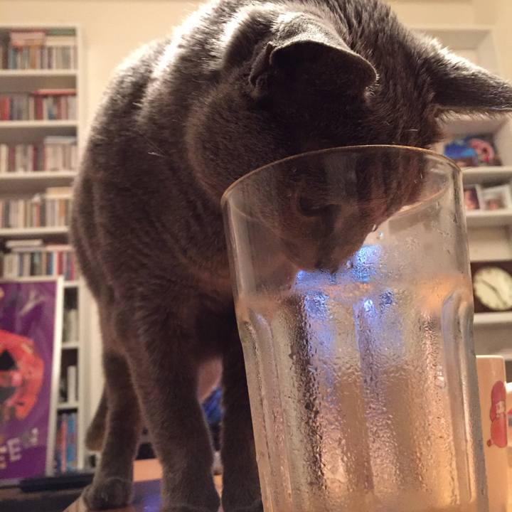 399f4203 2e8f 4d0b a09a 5f7bb267f345