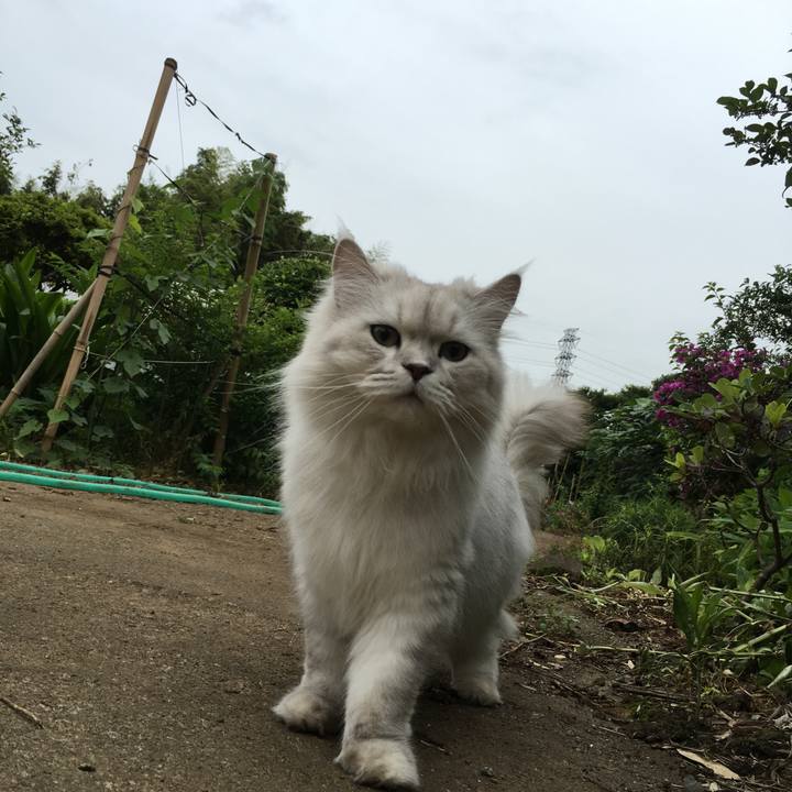 399f7b38 3b1c 434a b054 ebb3ca95fbf3