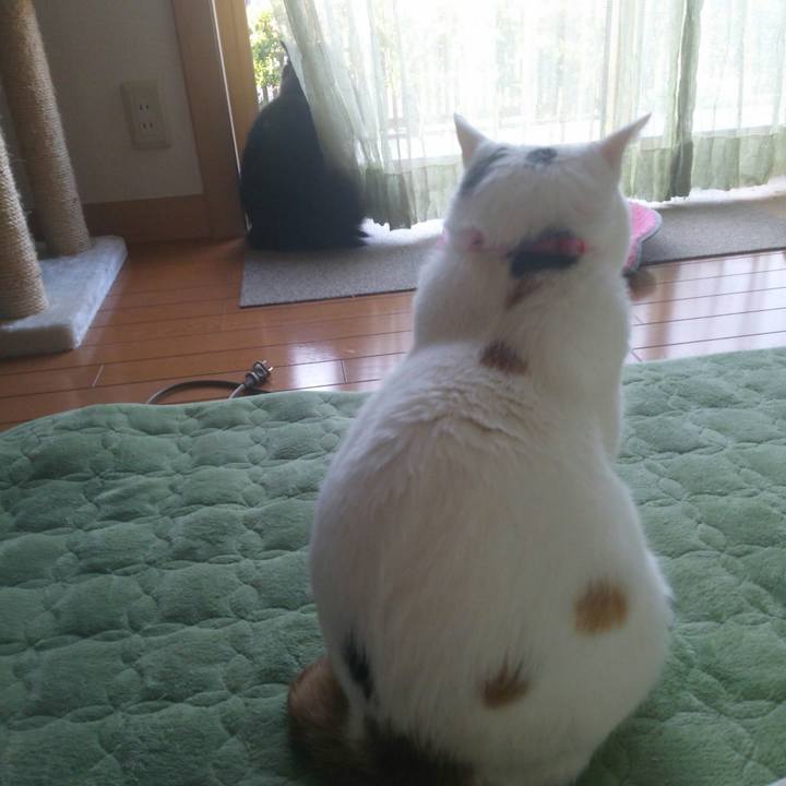 39a094a6 e1ed 41bd 9950 1ec9c5e0de32