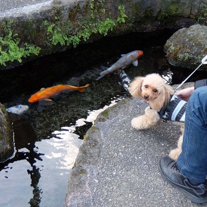 39a1d0f2 eed8 44f7 a19b d55e356fa614