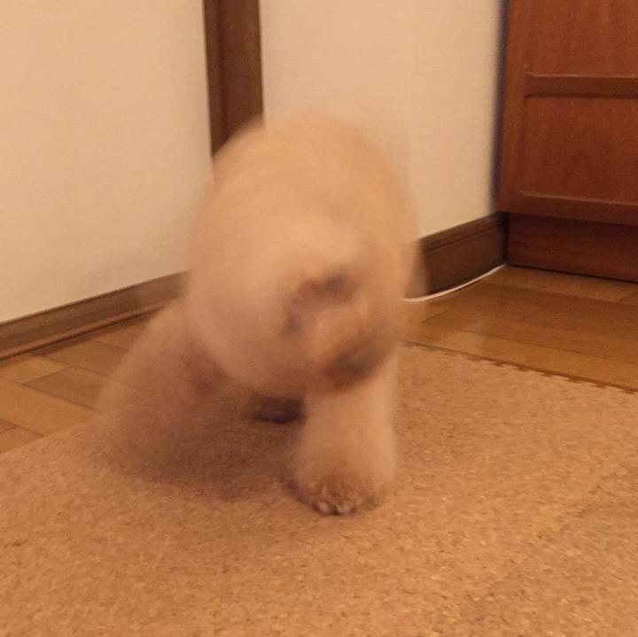 39a26ad0 7c1b 4139 98bd 40da8280fe4c