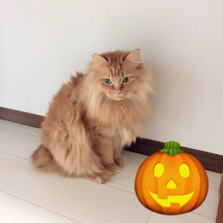 39a27365 aeb4 482e 938a a48da81b28d6