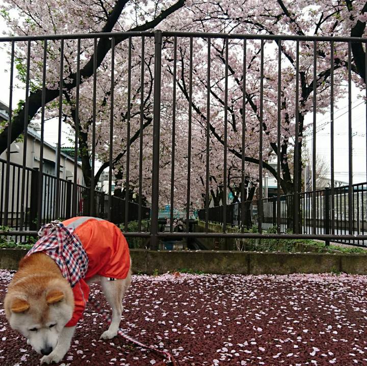 39a27d08 fa06 4ede bf83 c339b7c66b78