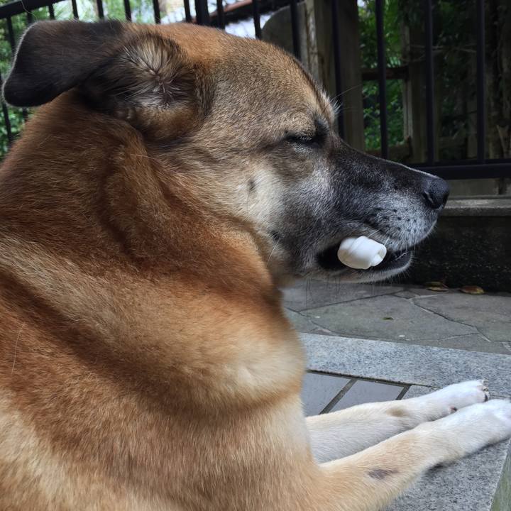 39a2b3ae d992 4bf2 b058 fd6a5ff7df49