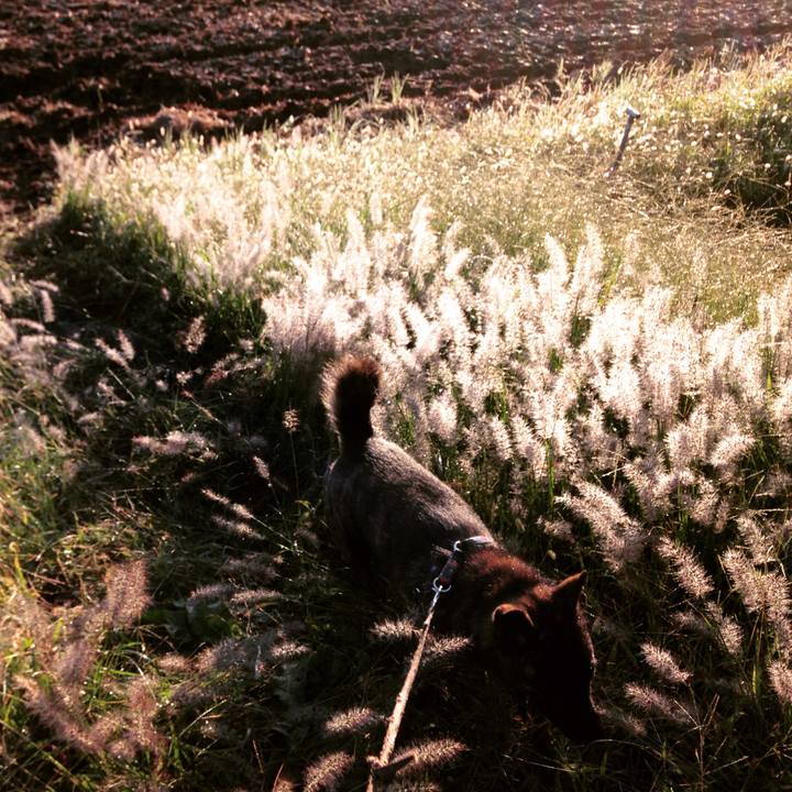 39a2d97a 6444 4285 b9c4 bfa5ec30308a