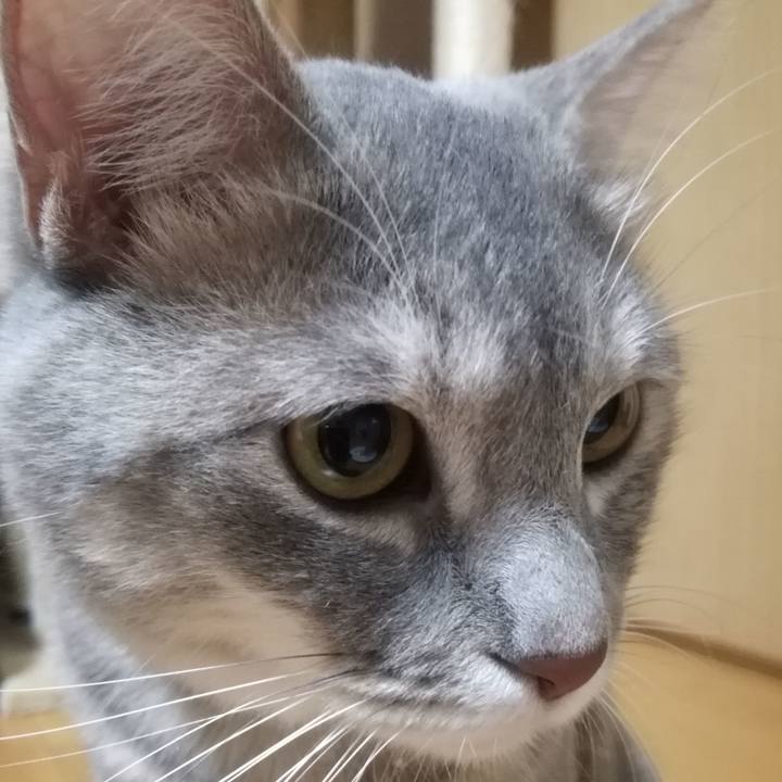 39a341a0 3da5 4fcf bae7 494602cff4df