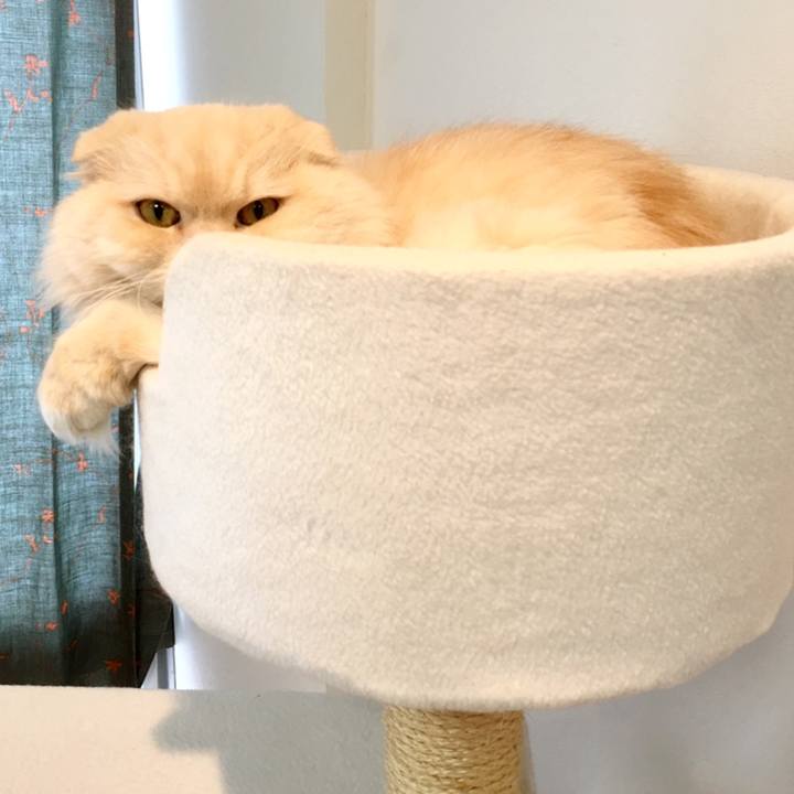 39a3a67e 184b 4c15 b024 3640695d9a1b