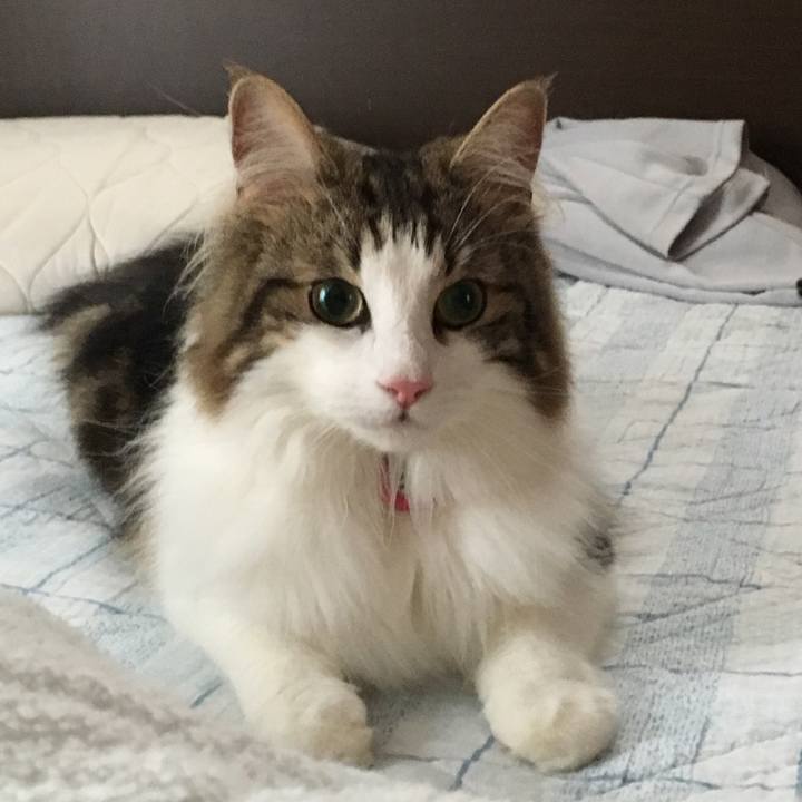 39a3c229 6aea 46a8 ac13 6f0e49dff3e1