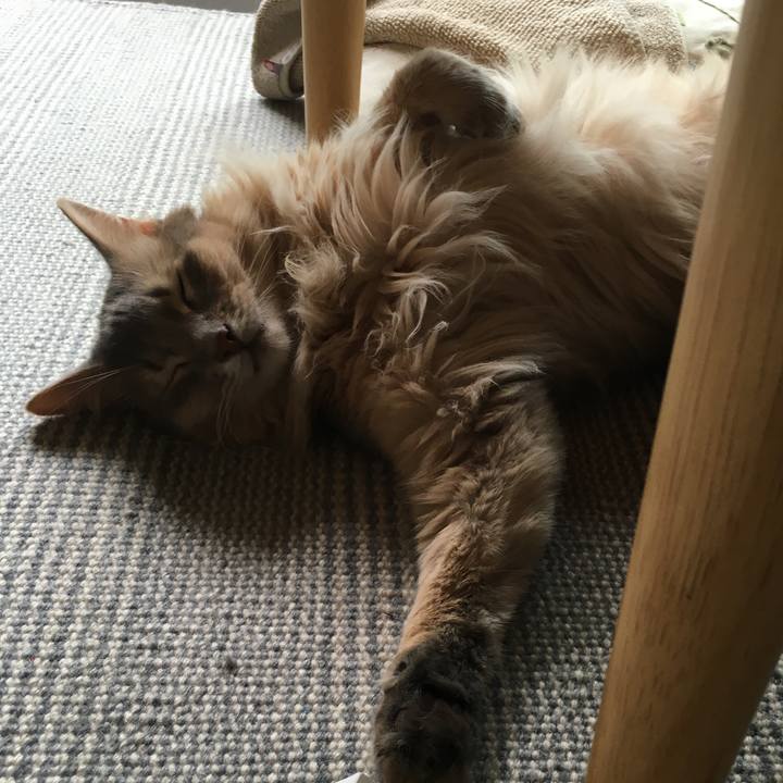 39a4370d e72f 43de aa31 0bfad7b82cf8