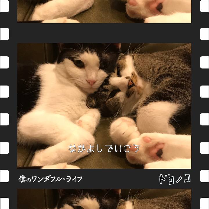 39a46a08 2c1e 46ad 9aab 1e8b73880665