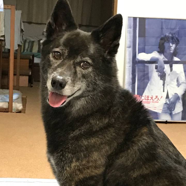 39a487d8 2e23 4b66 b8da 8ce89a20c2f6