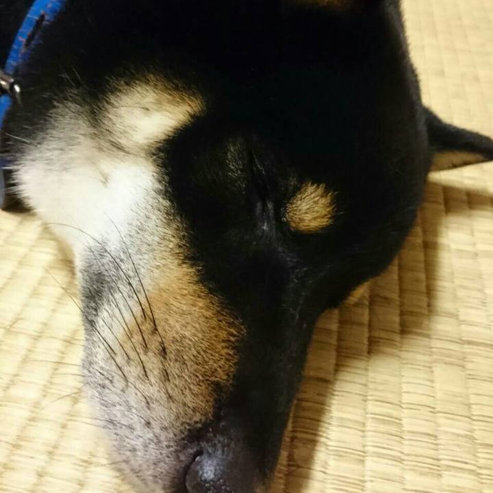 39a4ef28 659e 48dc 8aa0 68ab2f81e46e