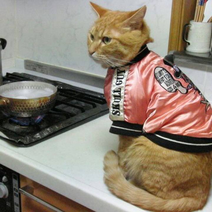 39a5440f 11dc 4e2c 8e65 64c335bb40a8