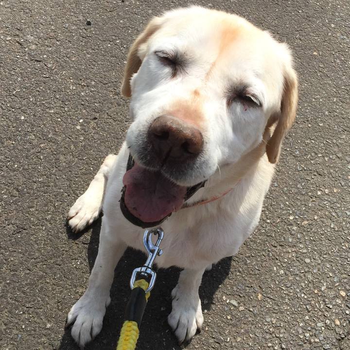 39a5abe6 d143 4e3f b639 6f98b48770e0