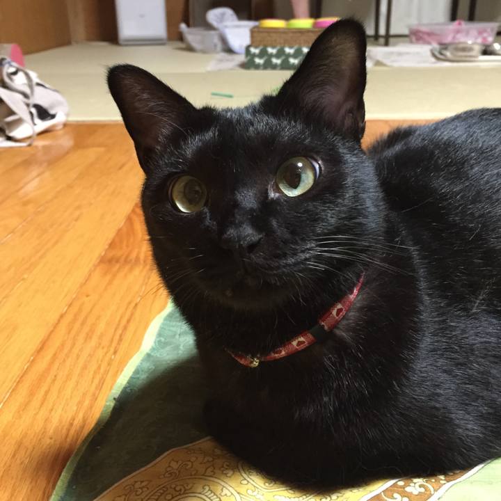 39a5c665 e365 40e2 8958 d9c8e994993c