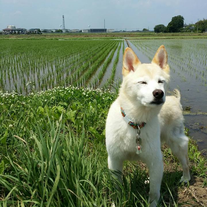 39a6a504 f3ba 41bc ae9e e5c22be55813