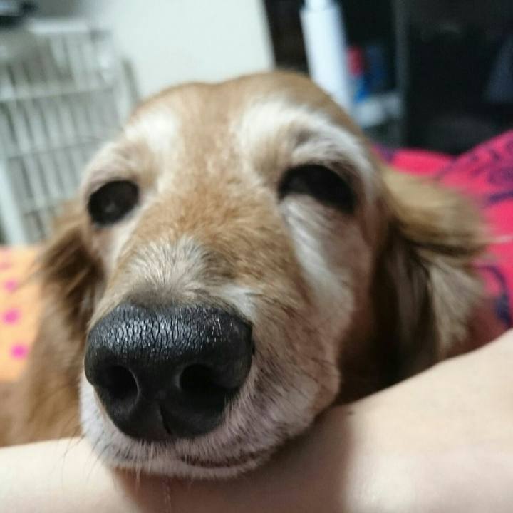 39a6ae24 8ec0 483d 9ade 407242a27520