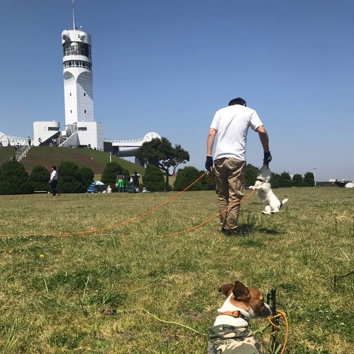 39a6e2d4 7093 40ac a694 07ce75f49af8