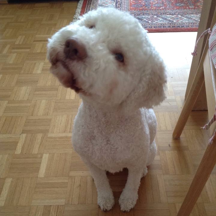 39a7069f 0fdf 4cc1 a32f d3ab31cf40d1