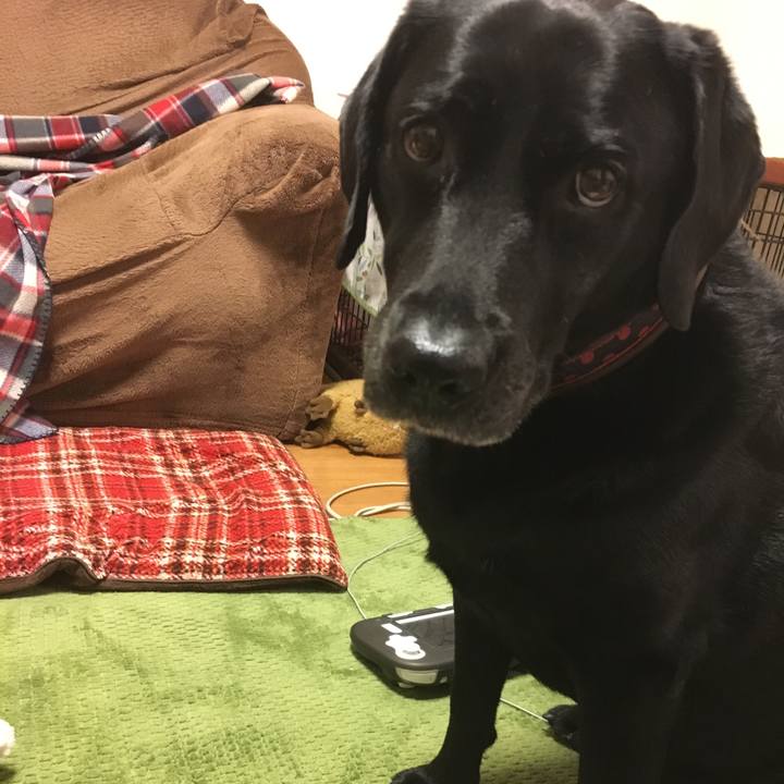 39a70fc8 3636 4e23 9b47 95a073b5ed2c