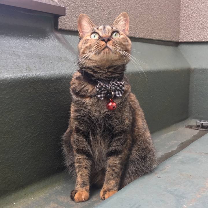 39a72702 d28f 4529 8d35 5237184a5a03