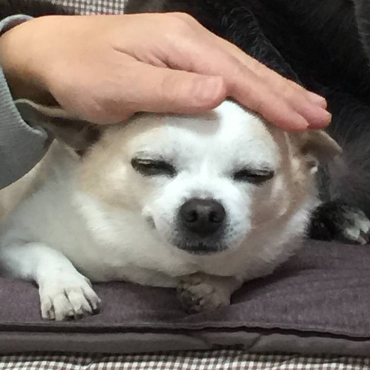 39a82ba5 2a7c 42f7 9380 29f6ab09d26c