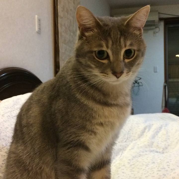 39a8c571 1100 4fd0 8352 852fcf725ad3