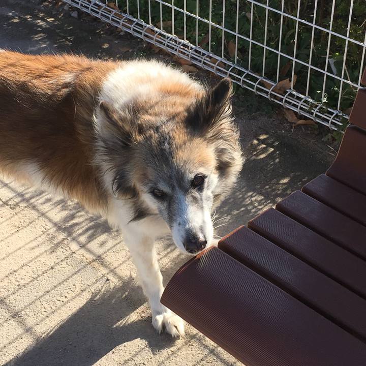 39a8e783 15cb 46f3 928a b33b5e4f3a96