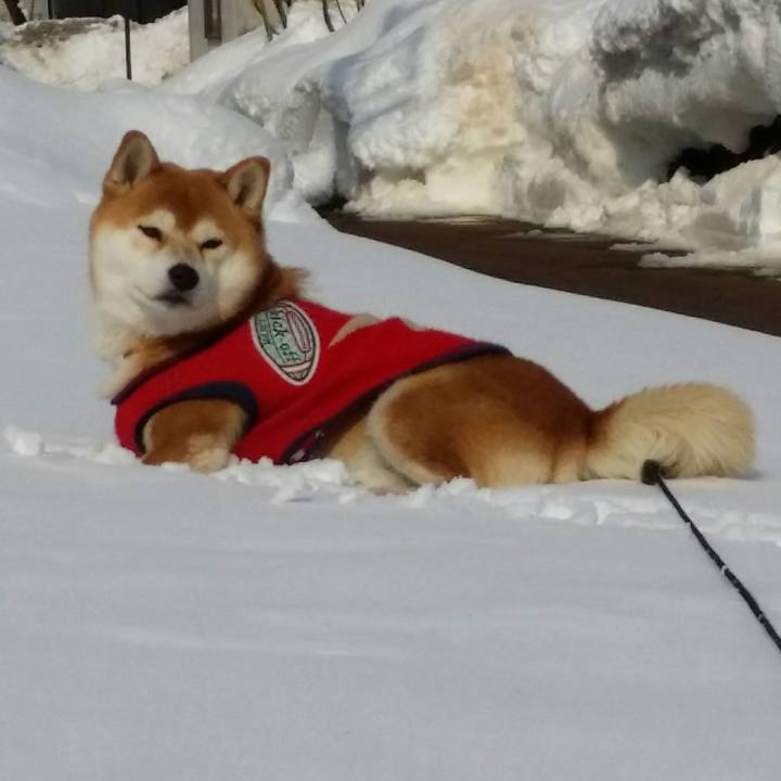 39a9424a d400 4fd0 b7f0 d0bdbdfe2290