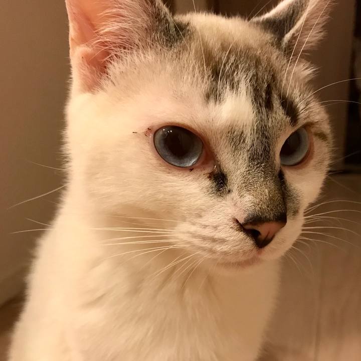 39aa0089 191c 40db b343 bbade9201f76