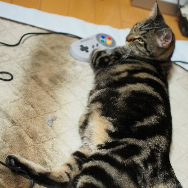 39aa26cf 7392 45a9 adde 4c542b283956