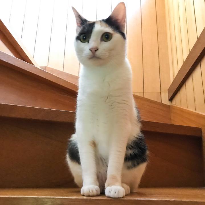 39aa394b e9a2 42bb ba20 fe2c99377518