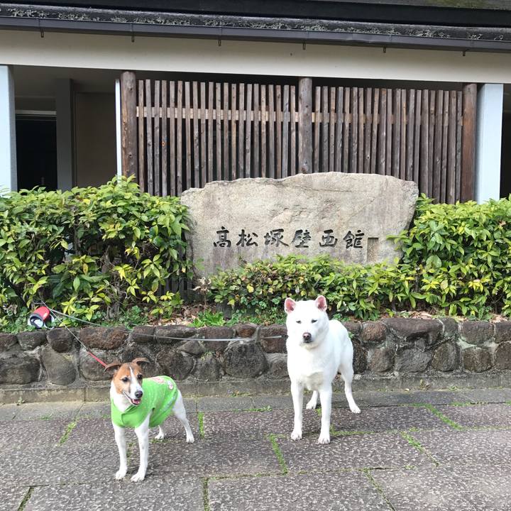 39aa8fe3 2133 47dd 990d d82fc6a7a096