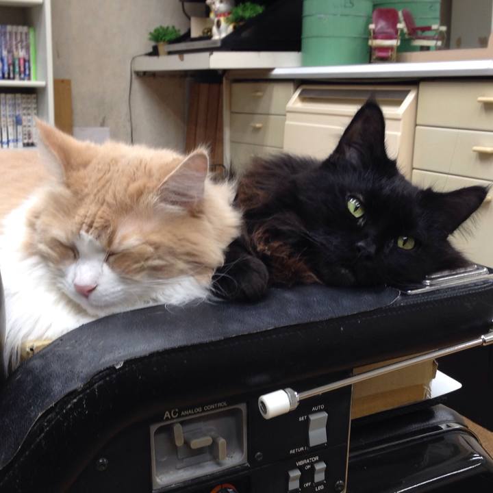 39aaeead c3a1 4413 bf52 3258bcdaa7c5