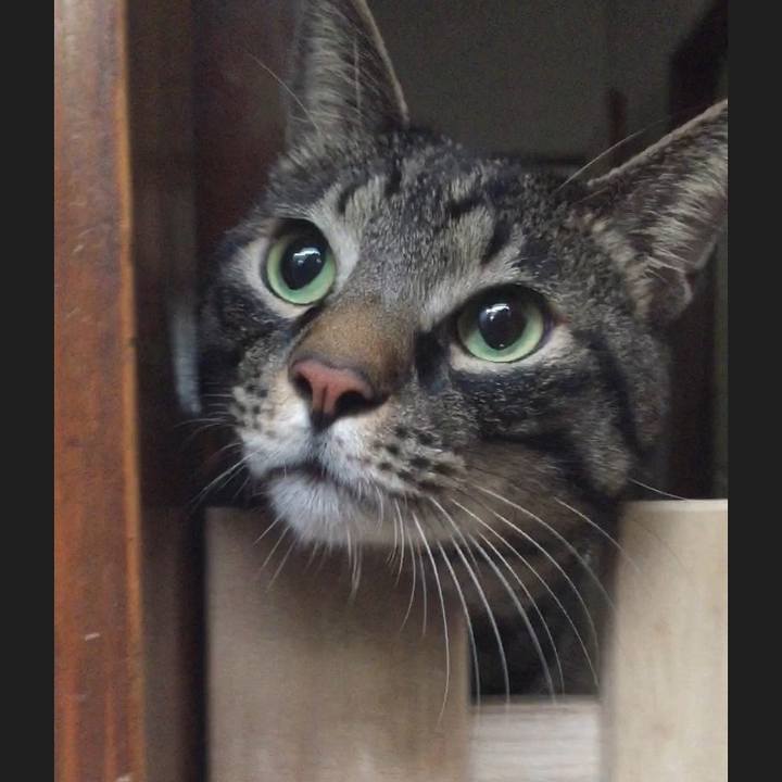 39ac226d 628a 46d5 b857 6fcbeb851f74