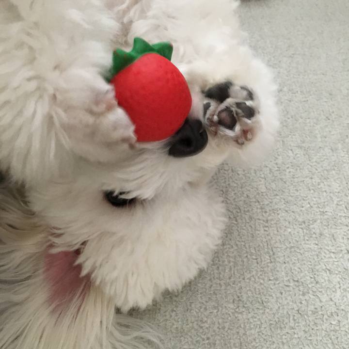 39ac7b09 21b9 4385 af75 99f24aaee8d4