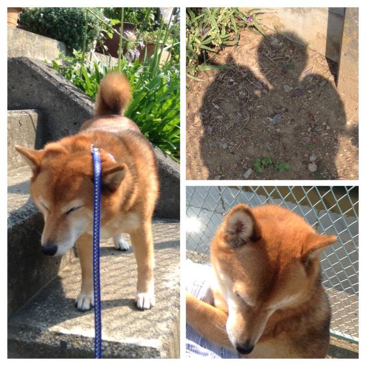 39ac8cbf 1dc3 488c a55c 6c41a9c34c70