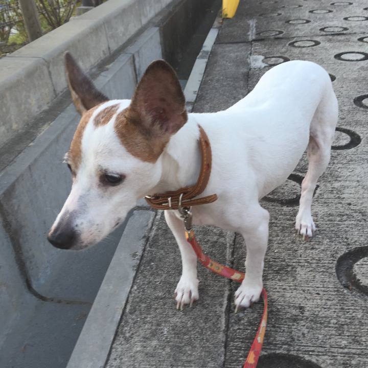 39accf8d 1323 4fd7 b082 719fffaade18