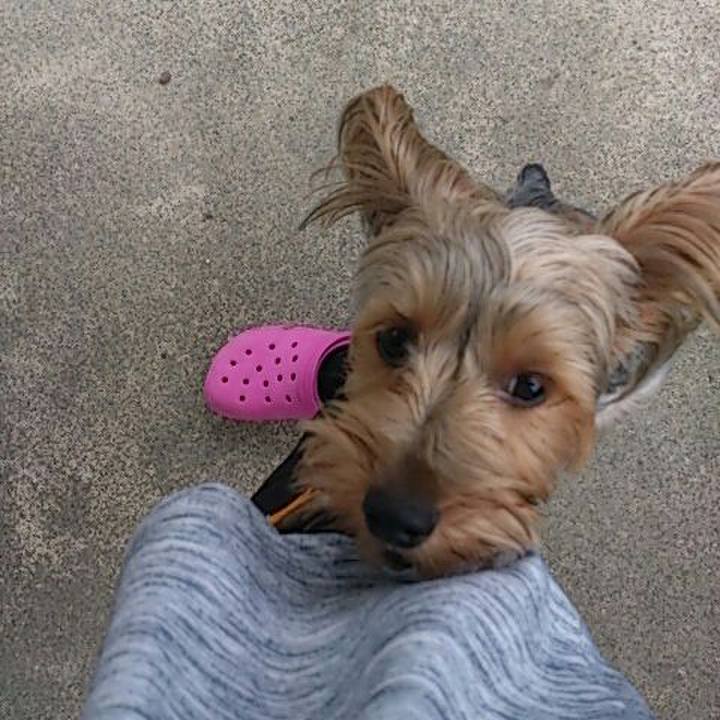 39adb49f f288 41eb 940b 994405250f6f