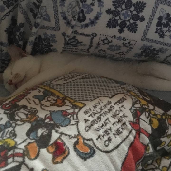 39ae10fc 3ab8 4a23 b618 81478156f9e4