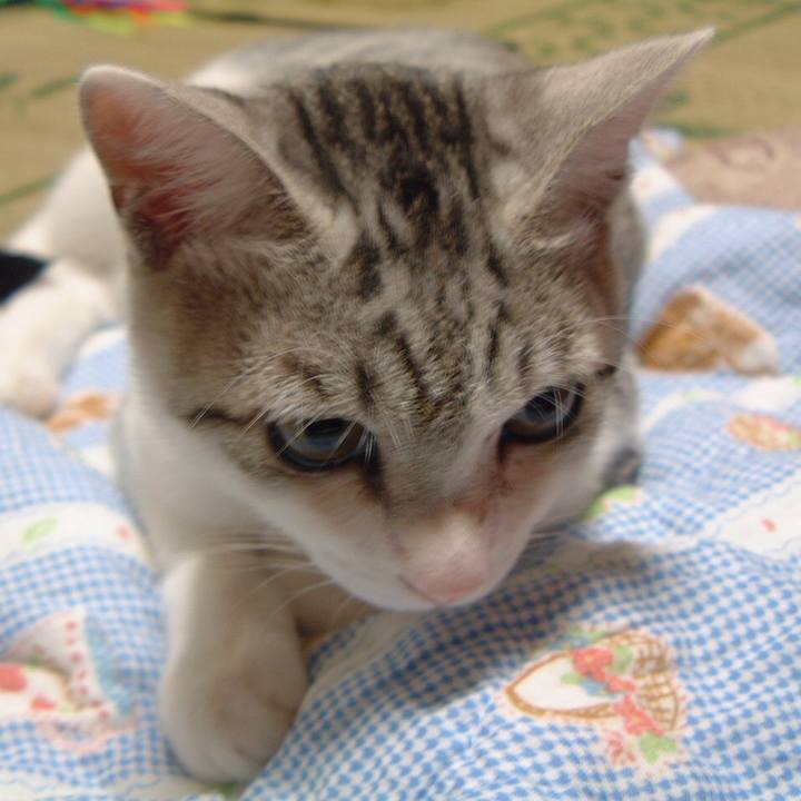 39ae33da 8f40 4dea 8b31 6f2f884b6b03