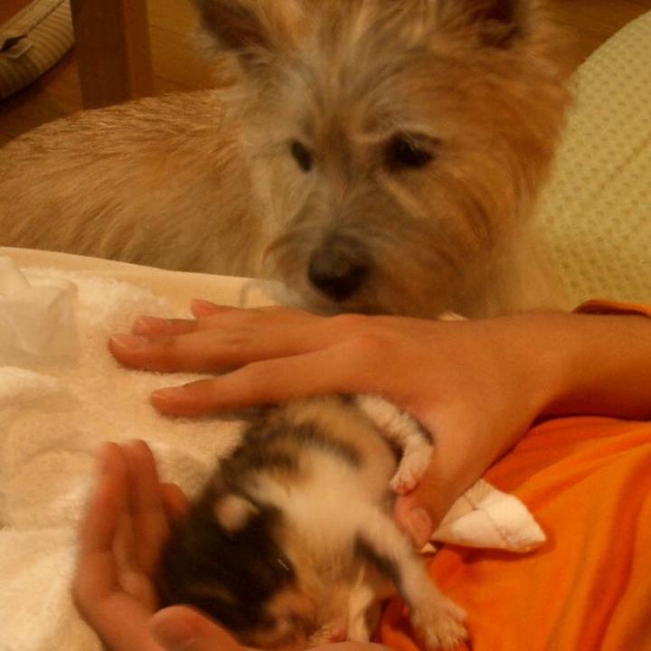 39af568a 26f9 4dba b0b9 fdc709efff8f