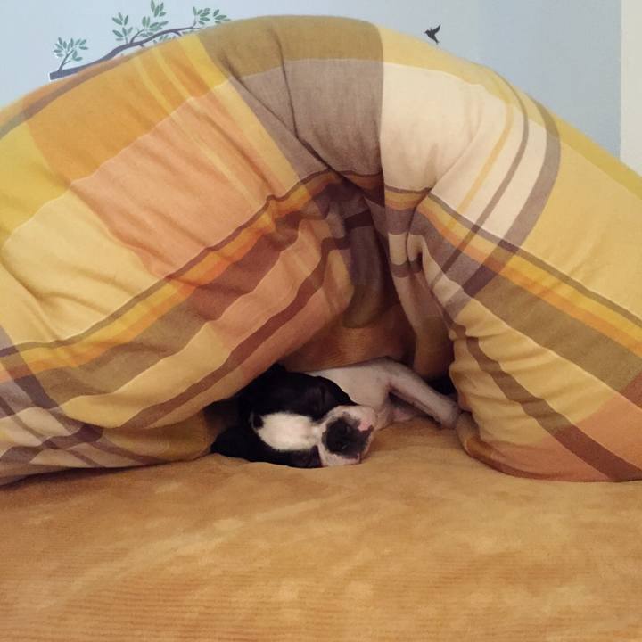 39afec1d e9e3 4801 8730 cdcf10ad19bd