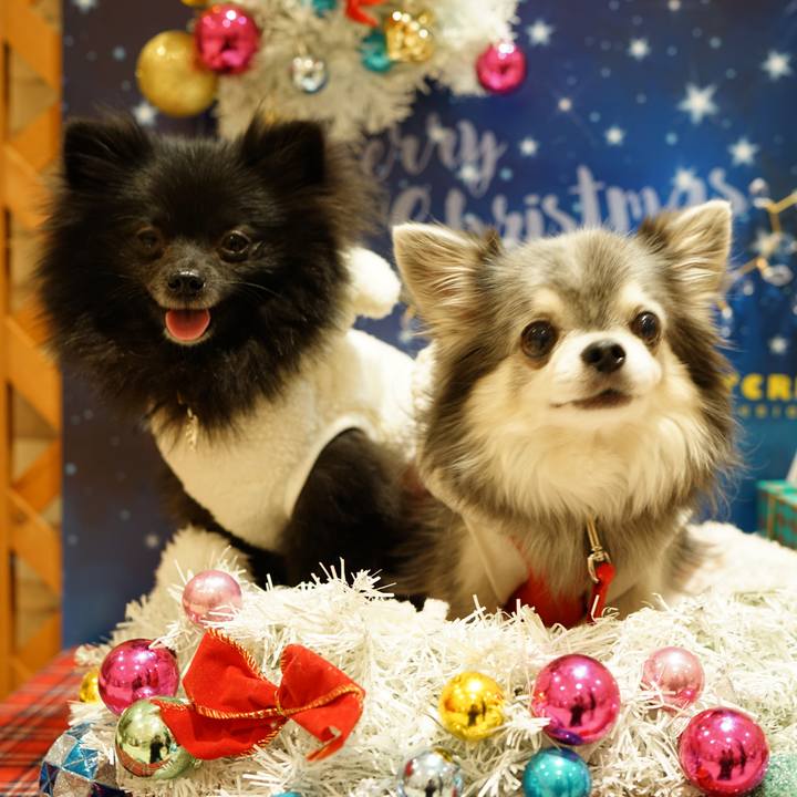 39aff420 1884 47f1 a4e1 ac24c614f052