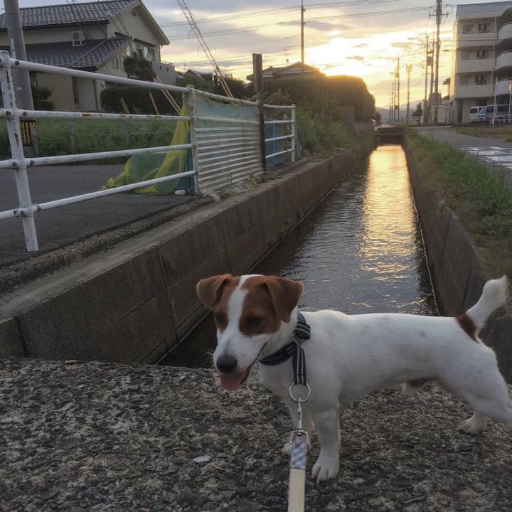 39b0233a 1d67 4a9f aec6 7bd894032cd4