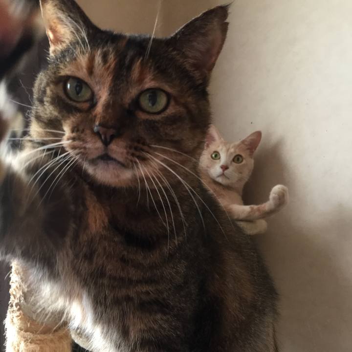 39b06b60 ea08 4317 a571 109017a8c85f