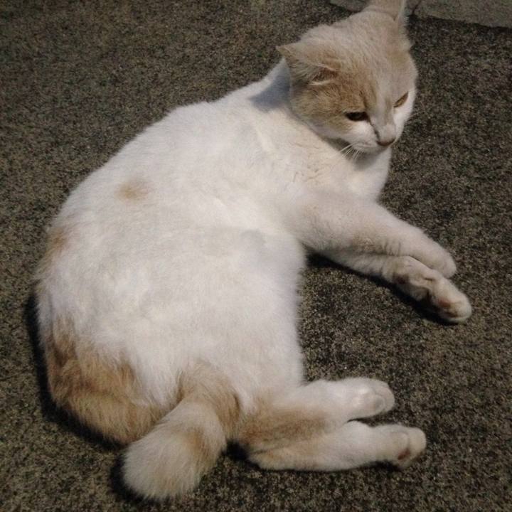 39b17ad9 2845 4ce4 aed3 b64b22e56afc